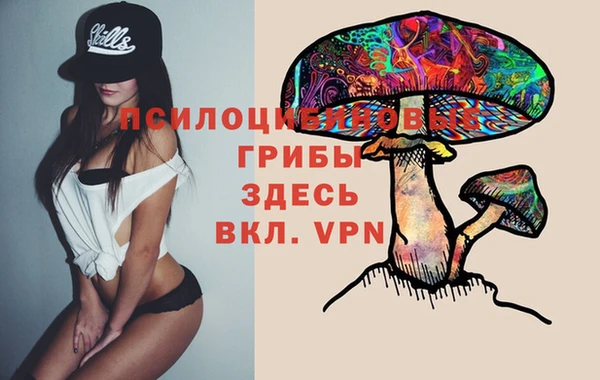 бошки Алексеевка